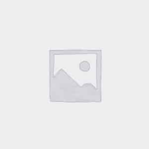 wp placeholder